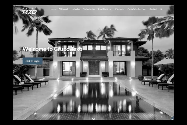 Grupo Texo / Website