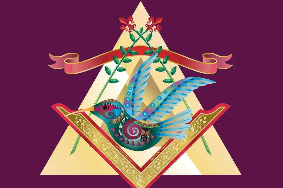 Ilustración Colibrí