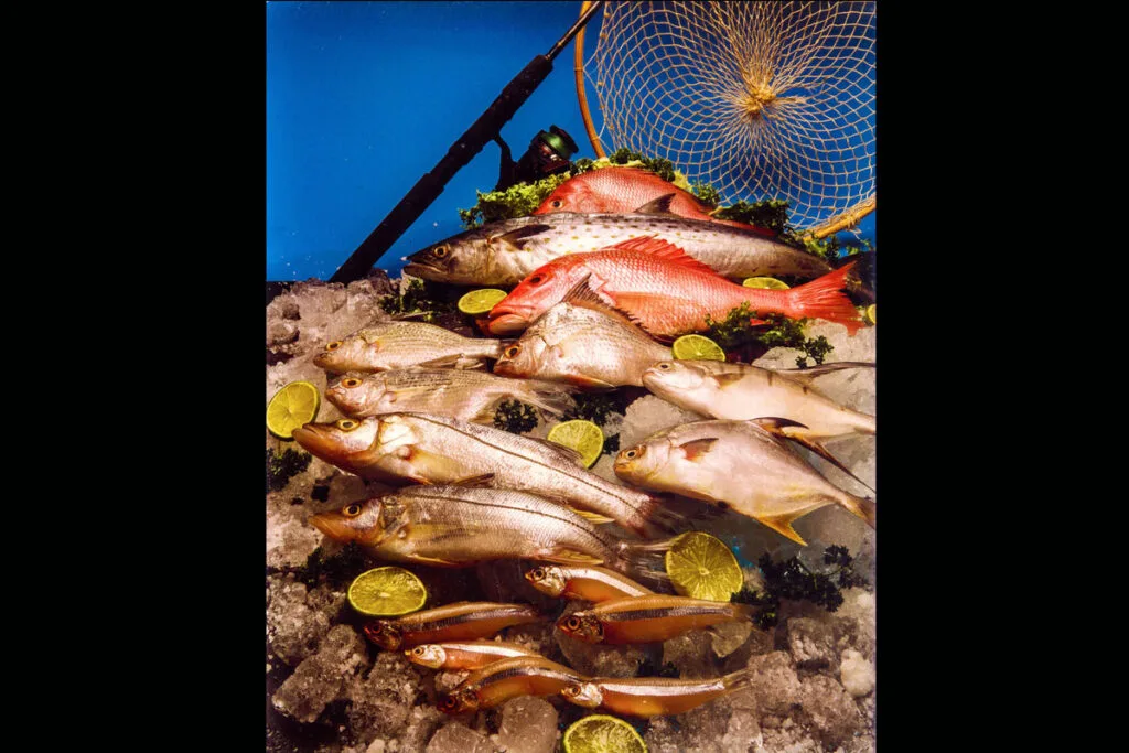 Comida del mar