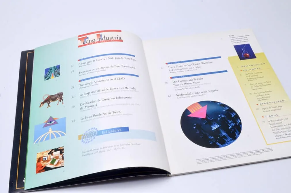 Diseño Editorial de Revistas Científicas y de Divulgación - Imagen 4