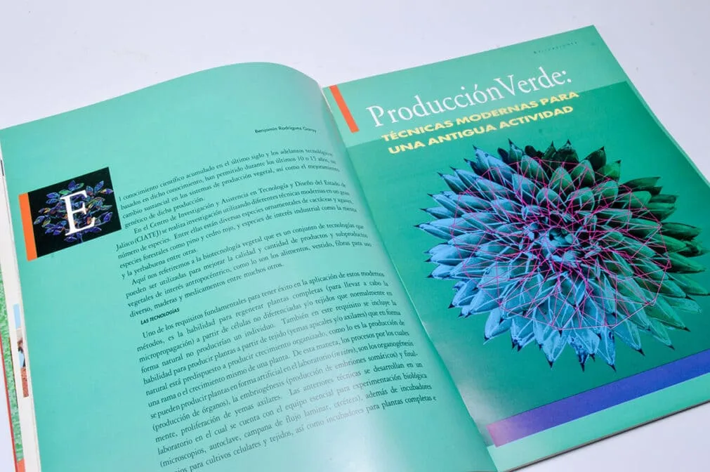 Diseño Editorial de Revistas Científicas y de Divulgación - Imagen 3